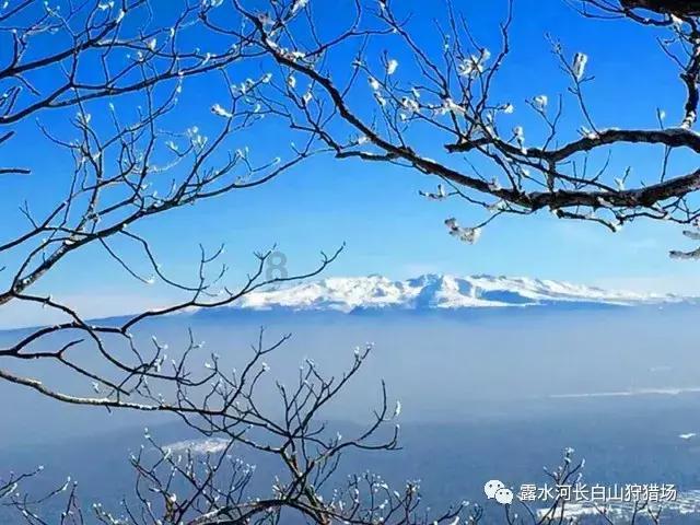 《郎心如铁》之万红