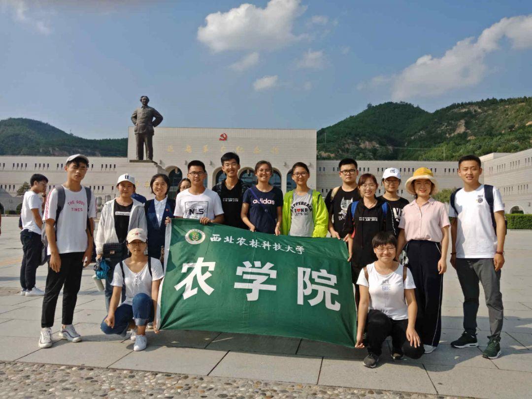 史提芬填色书
