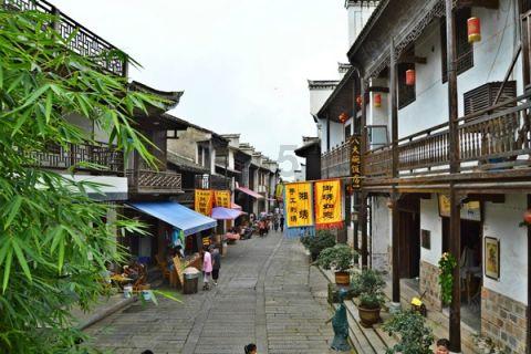 卡通骆驼救援